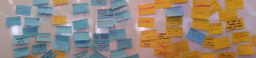 Strengths and Needs Assessment Report