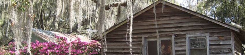 Sapelo Square